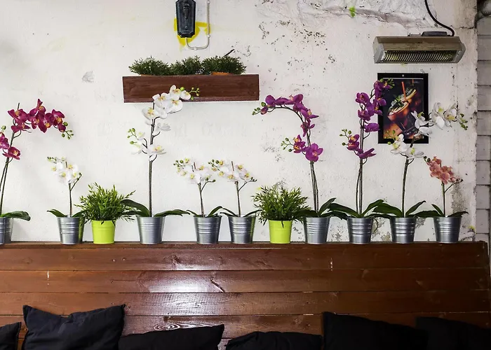 Хостел Skansen